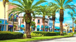 DOWNTOWN VENICE