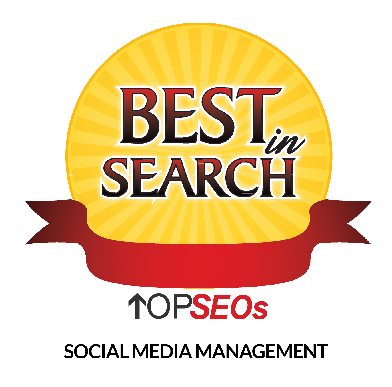 TBEST IN SEARCH SOCIAL MEDIA MANAGMENT